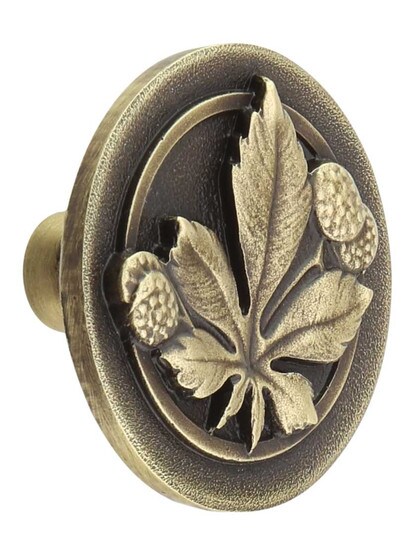 Horse Chestnut Cabinet Knob in Antique Brass.